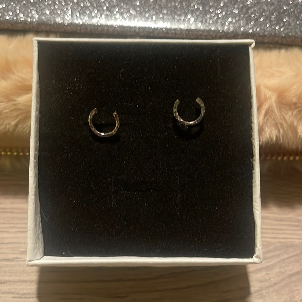 NWT Sterling silver horseshoe earrings